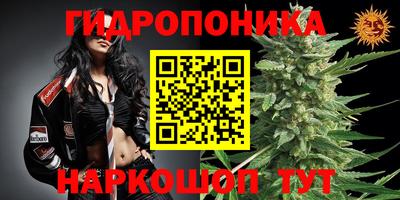 кокс Дубна