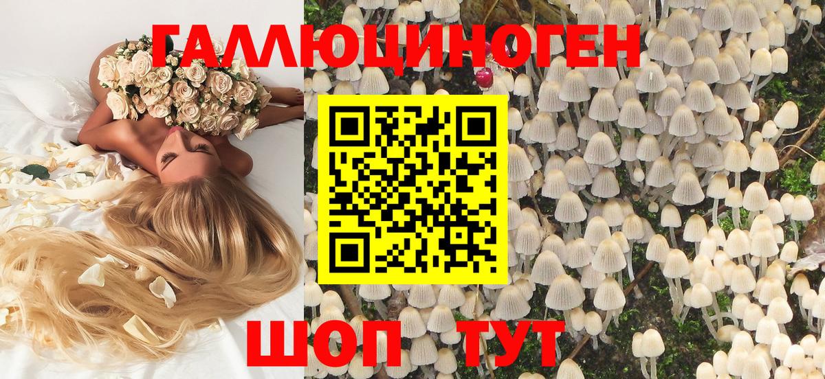 Галлюциногенные грибы GOLDEN TEACHER Кызыл