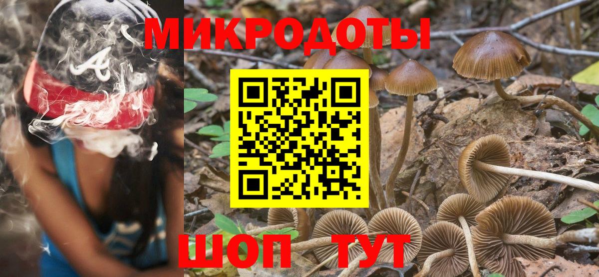 Псилоцибиновые грибы GOLDEN TEACHER  Вход с VPN  Кызыл 